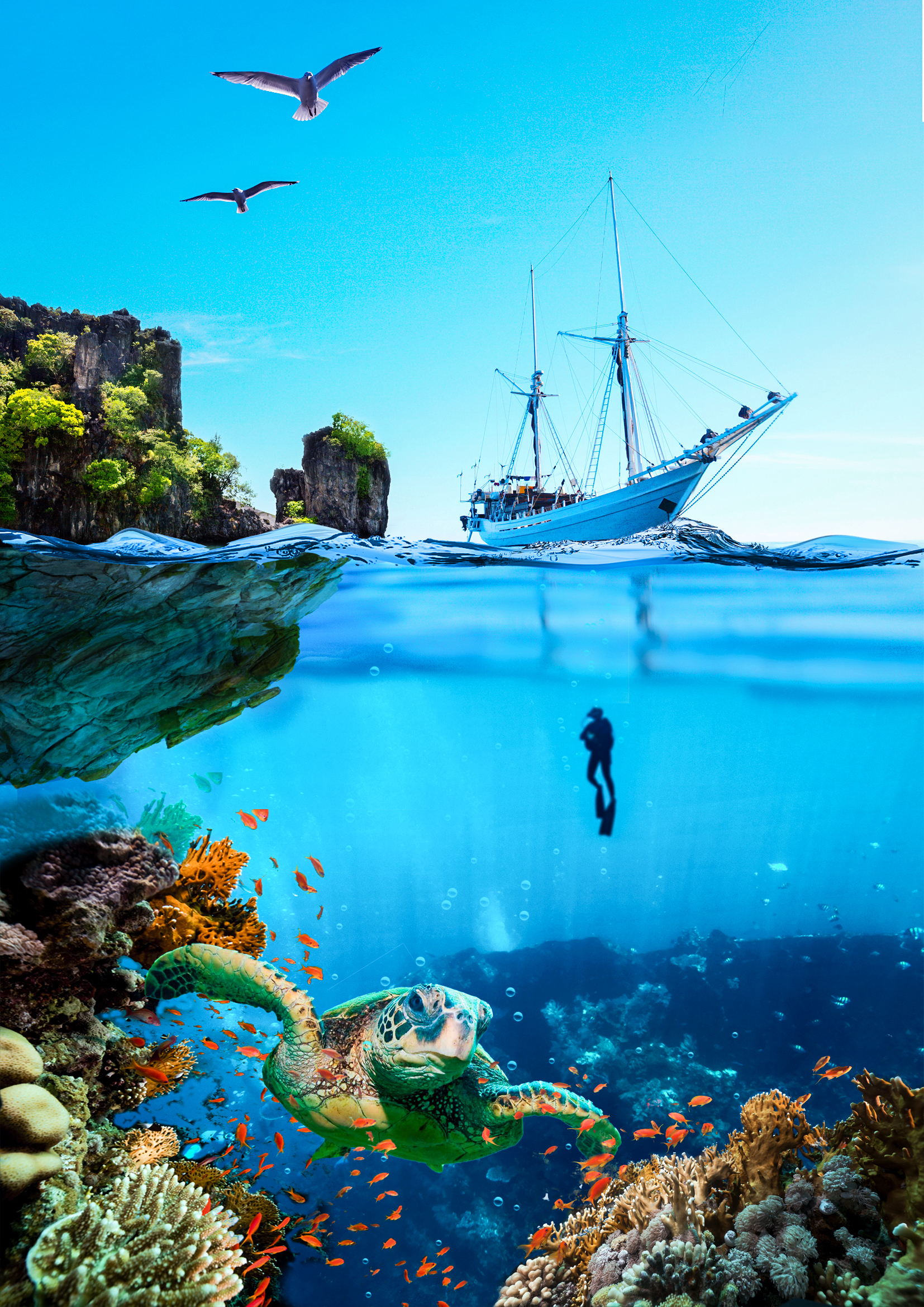 Projet photoshop plongueur