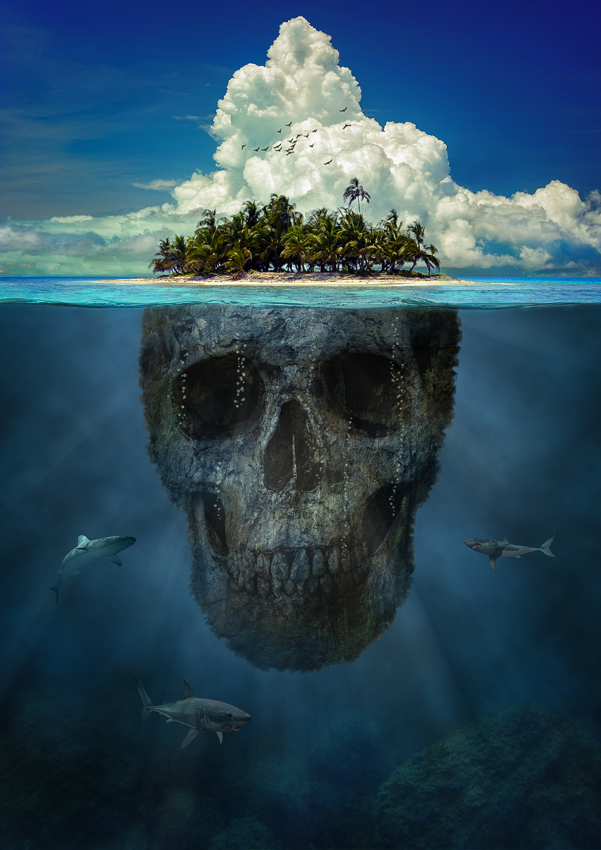Projet photoshop crâne